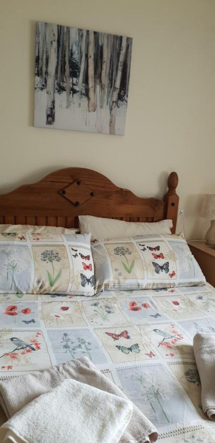 Comfy Quiet Town House Villa Strabane Kültér fotó